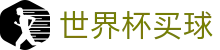2026FIFA世界杯买球综合数据大厅 | 赛程比分与盘口预测中心地址